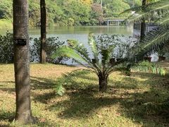 -深圳国际园林花卉博览园