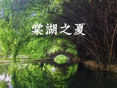 -棠湖公园