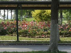-浙江大学(海宁国际校区)