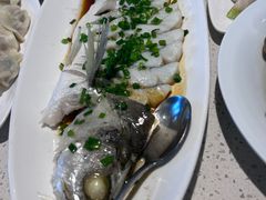 -船歌·鱼水饺青岛菜(金狮广场店)