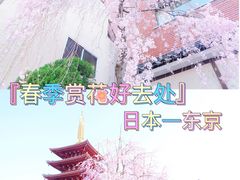 -上野公园花园稻荷神社(忍岡稲荷神社)