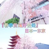 日本赏樱—春季赏花好去处🌸