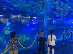 -成都浩海立方海洋公园