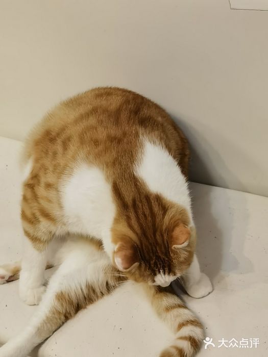 小时光咖啡馆(北锣鼓巷店)图片