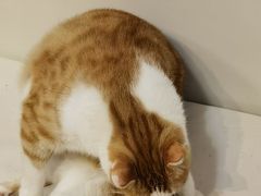 -小时光咖啡馆(北锣鼓巷店)