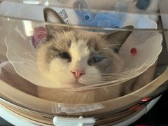 -北京恒爱动物医院(清景园分院)