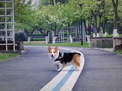 -国际非物质文化遗产博览园