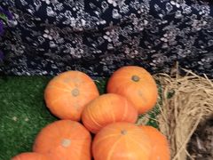 -老阿爸江浙土菜(奥体中心店)