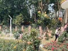 -人民公园(罗湖区)