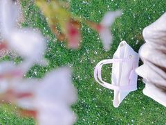 -上海辰山植物园