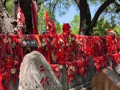 -大槐树寻根祭祖园