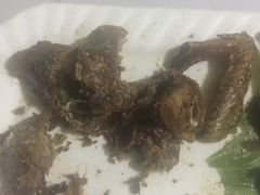 -天羽烤乳鸽店(财大家属院店)