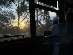 -威勒比开放式动物园