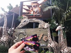 -清迈夜间动物园