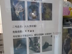 -逃脱反斗城沉浸剧情密室(北京路店)