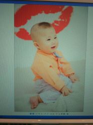 点击看大图 -苏菲亚婚纱影楼尊爵店(昆区店)