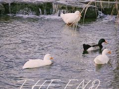 -三里河公园