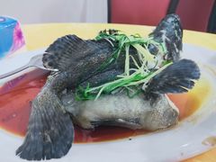 -蚝专家(北滘店)