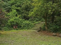-天台山琼台仙谷景区