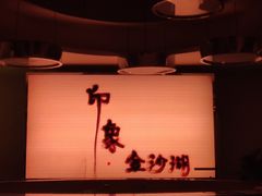 -金沙湖旅游度假区
