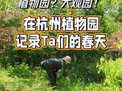 -杭州植物园