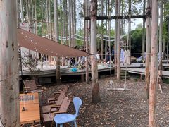 -桉树林A coffee 森林餐厅(三圣乡店)