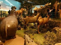 -陕西自然博物馆