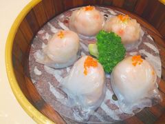 虾饺-半岛太子酒家(海港城店)