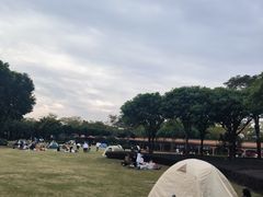 -顺峰山公园