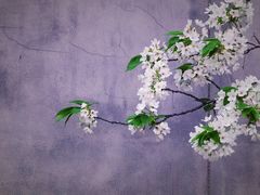 -国际非物质文化遗产博览园