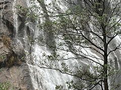 -千泷沟大瀑布旅游区