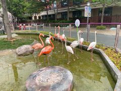 -灵玲国际马戏城