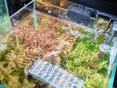 -瑞虹新天地月亮湾