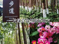 -云龙湖旅游景区