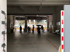 -公平路渡口(轮渡站)