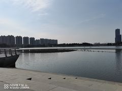 -映月湖中央公园