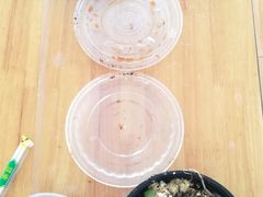 -宋记海南粉传承老店(人民西路店)