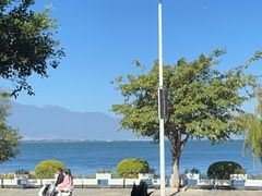 -野菌皇海景野生菌火锅(滨海大道店)
