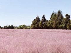 -军山湖云水间生态农业旅游景区