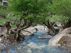-狮子沟牧场
