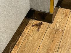 -三品香·江浙菜(松江九谊店)