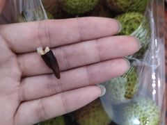 -鲜丰水果(丰盛九玺店)