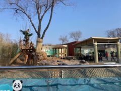 -秦皇岛野生动物园