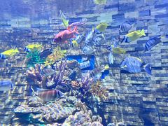 -秦皇岛新澳海底世界