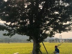 -艾米稻香小镇