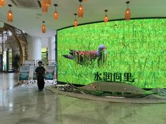 -同里国家湿地公园