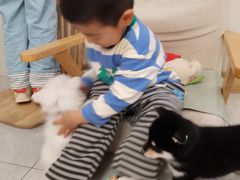 -柴犬小屋·柴餐厅·狗咖食堂(金鼎广场店)