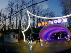 -枫花园汽车电影院(朝阳公园店)