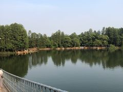 -东湖落雁景区