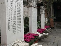 -国恩寺